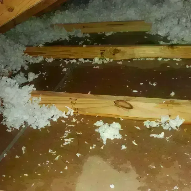 Attic Water Damage in Redway, CA